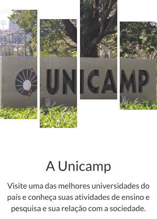 A Unicamp Visite uma das melhores universidades do país e conheça suas atividades de ensino e pesquisa e sua relação com a sociedade.