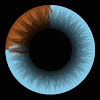 3Blue1Brown